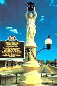 Памяти жука