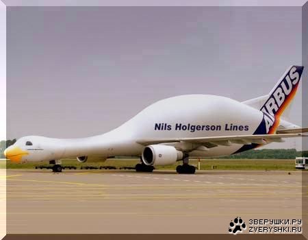 Нильс и гуси