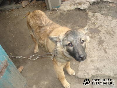 Малыш Мухарчик (3 Фотографии)