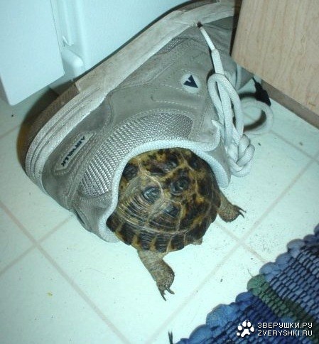 Уйду я от вас :) Уйду я от вас :)