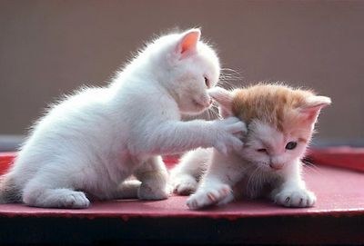 Придумаем название? :) Придумаем название? :)