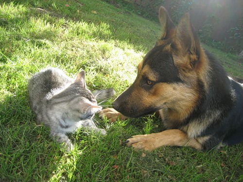 ����� ������ :)