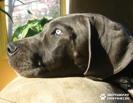 ����� - �������� ��� :) (12 ����)