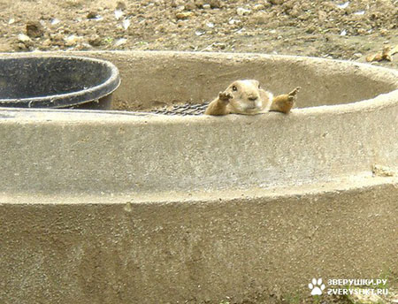 �������� � ������? :)