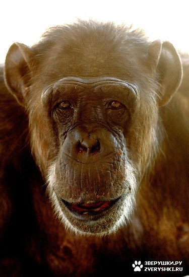 ����� ������ �������� �� ����� ����������� 75 ��� (5 ����)