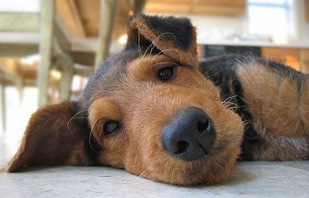 ����� :) (10 ����)