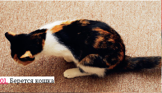 ��� ���� ����� �������� � �� ������������ (6 ����) :)