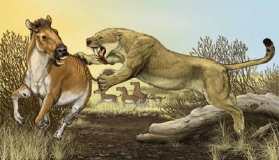 ������� ����� � �������������  