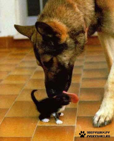 �������� ������ :)