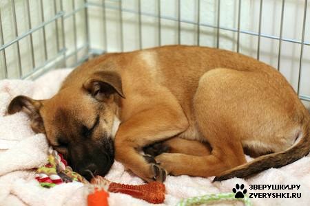 ����� :) (12 ����)