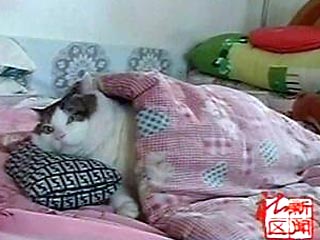 ��� ���������� :)