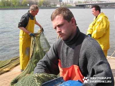 ����� � ���� (8 ����)