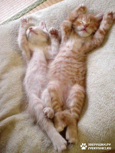 ����� ������! :)