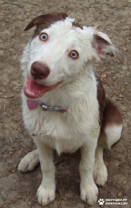 �������� :) (13 ����)