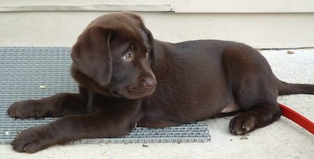 ����� - ���������� �������� :) (13 ����)