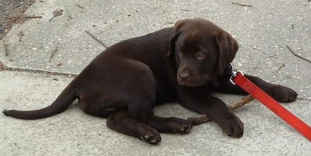 ����� - ���������� �������� :) (13 ����)