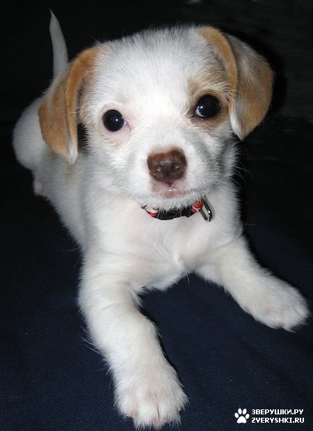 ����, ������ �����-��� :) (13 ����)