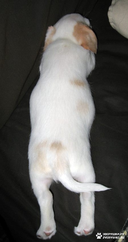 ����, ������ �����-��� :) (13 ����)