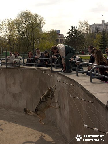 До чего порой доводит чувство голода :)