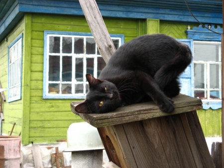 ��������� ��������