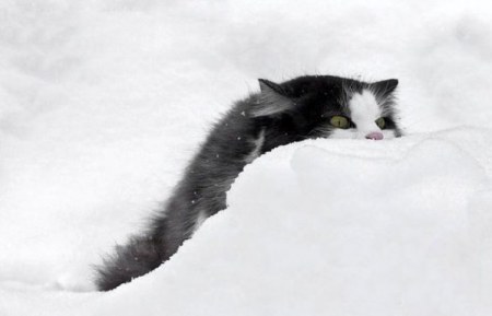 ��������� ��������