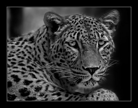 ��������� ��������