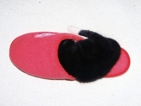 ��������� ��������