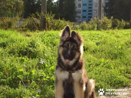 ��������� ��������