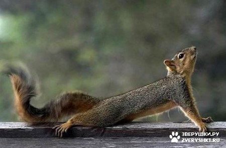 ��������� ��������