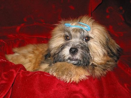 ��������� ��������