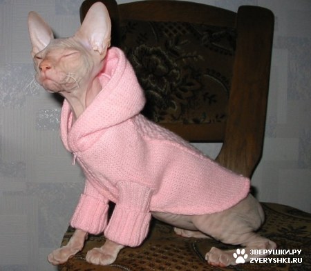 ��������� ��������