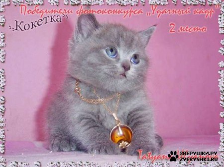 ��������� ��������