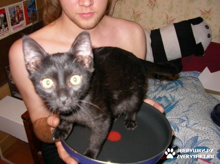 ��������� ��������