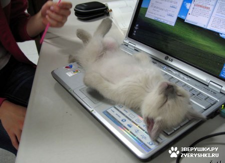 ��������� ��������