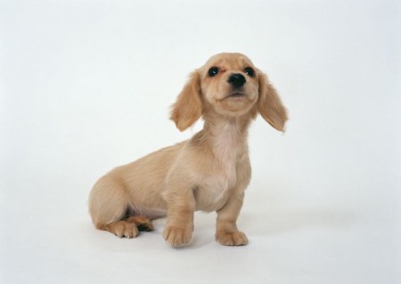 ��������� ��������