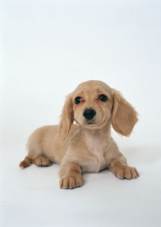 ��������� ��������