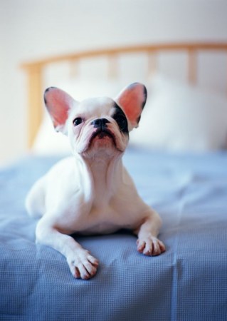 ��������� ��������