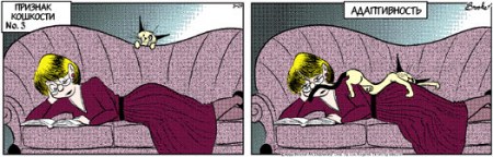 ��������� ��������