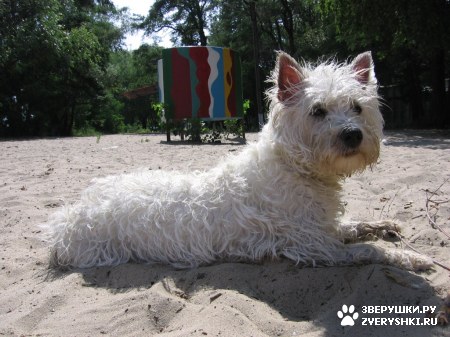 ��������� ��������