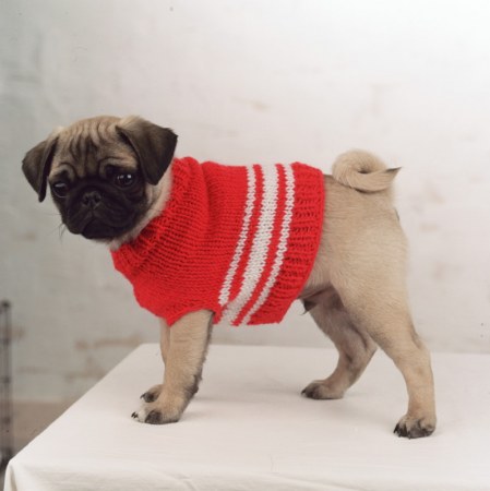 ��������� ��������