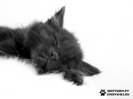 ��������� ��������