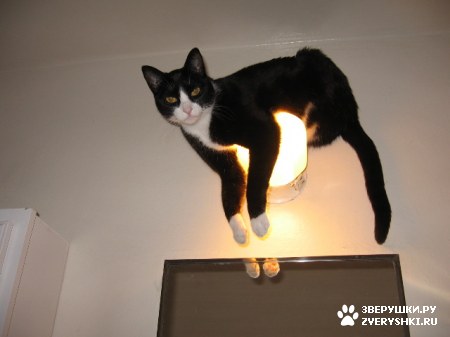 ��������� ��������