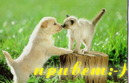 ��������� ��������