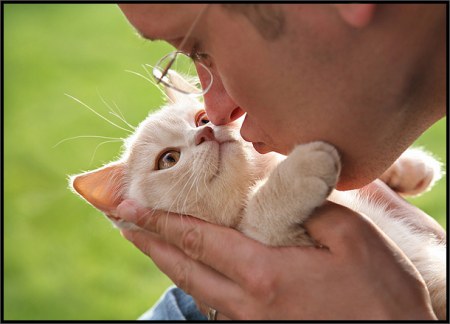 ��������� ��������