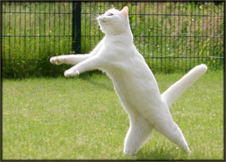 ��������� ��������