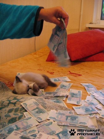 ��������� ��������