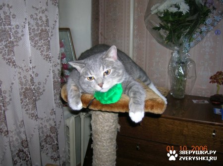 ��������� ��������