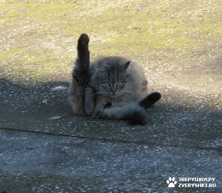 ��������� ��������