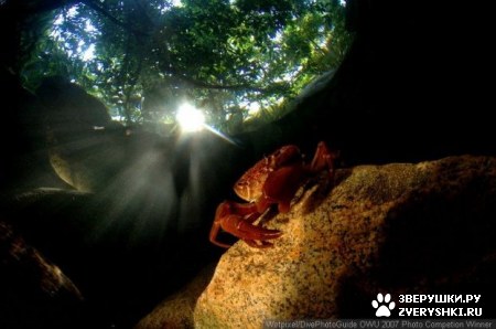 ��������� ��������