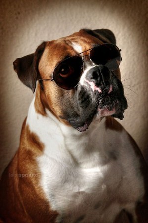 ��������� ��������